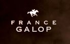 France Galop vous ouvre ses écuries virtuelles. Découvrez les courses de chevaux, les hippodromes, les calendriers et résultats des courses hippiques.