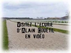 Alain Couétil, entraîneur de chevaux de courses à Senonnes (galop - plat et obstacle)